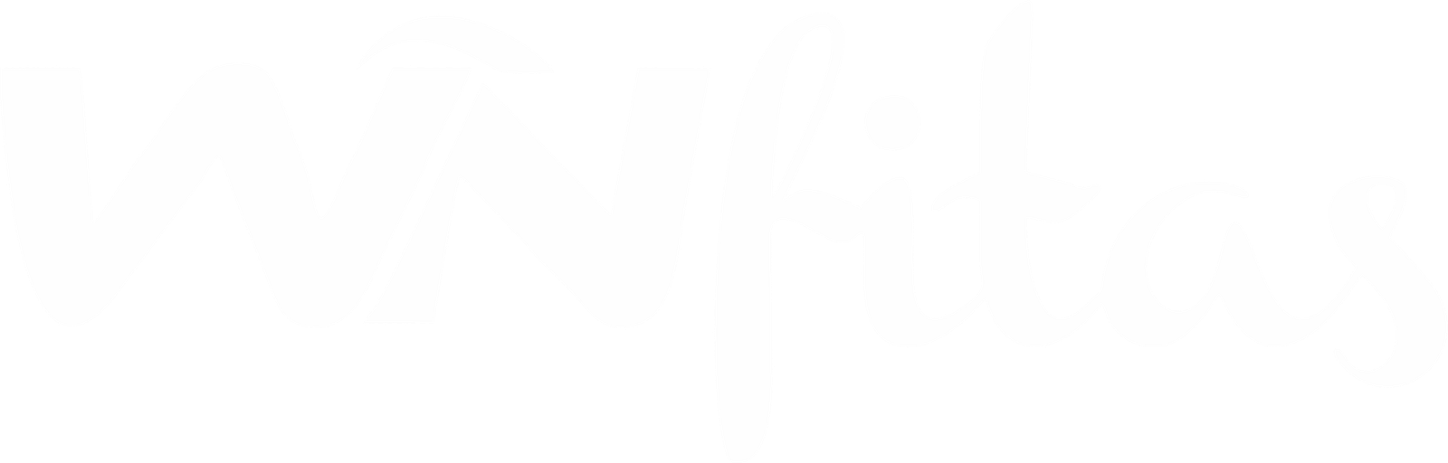 WNfitas Logo